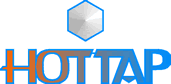 Volta ao in&iacute;cio do Site